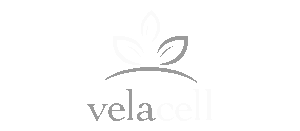 Logo Vela – Partner der Rechtsberatung online