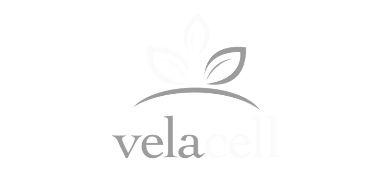 Logo Vela – Partner der Rechtsberatung online